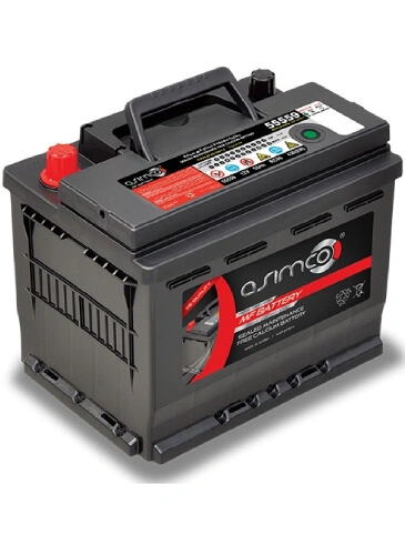 Asimco CMF-55B24LS-ASIMCO 12V 45AH
