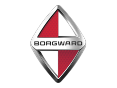 Borgward Tyres