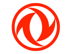 Dongfeng Tyres