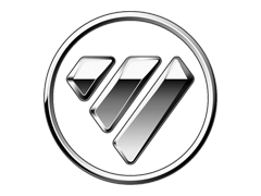 Foton Tyres